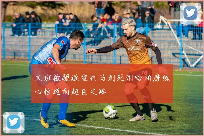 文班被驱逐宣判马刺死刑哈珀磨练心性迈向超巨之路