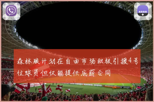 森林狼计划在自由市场积极引援4号位球员但仅能提供底薪合同