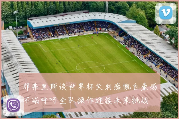 邓弗里斯谈世界杯失利感慨自豪感不减呼吁全队振作迎接未来挑战